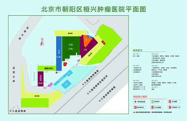 狠狠地抽插电影北京市朝阳区桓兴肿瘤医院平面图